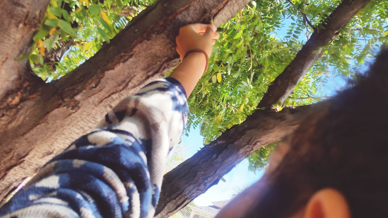 tree, tree trunk, lifestyles, leisure activity, forest, person, low section, relaxation, nature, barefoot, part of, sunlight, day, sitting, young adult, outdoors