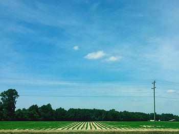 Scenic view of field against blue sky