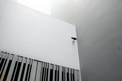 Low angle view of white wall by building