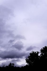 Low angle view of silhouette trees against sky