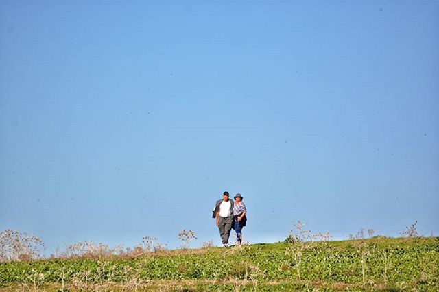 clear sky, copy space, grass, lifestyles, leisure activity, full length, rear view, men, field, blue, landscape, casual clothing, person, tranquility, nature, tranquil scene, standing, walking