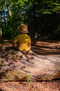 Rear view of boy sitting on land in forest