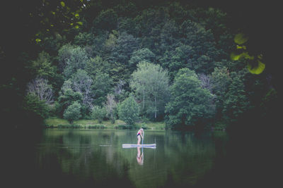 Reflection of trees in lake