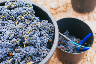 Close-up of grapes in bowl