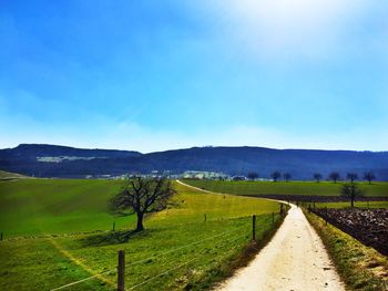 Scenic view of agricultural field against clear blue sky