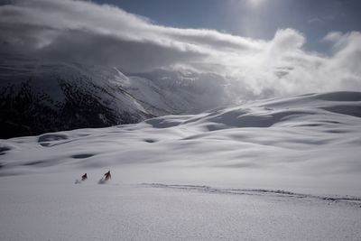 Tourists on snow covered mountain