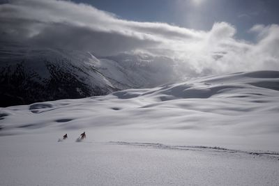 Two people skiing on snow covered mountain