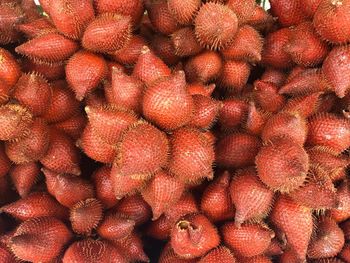 Salacca fruit in market 