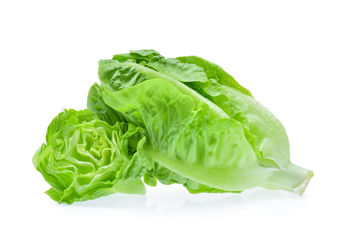 Close-up of vegetable over white background