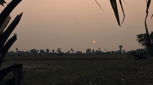 Scenic view of field against clear sky at sunset