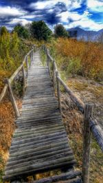 Surface level of wooden footbridge along trees