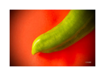 Close-up of green chili peppers