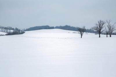 Scenic view of snow covered field against sky
