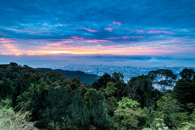 Scenic view of forest against sky at sunset