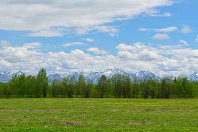 Scenic view of field against sky