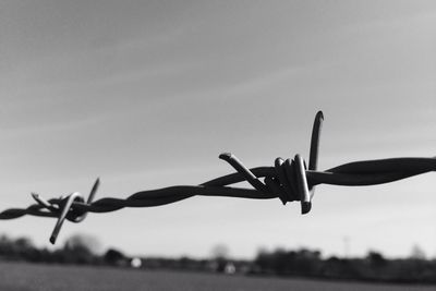 Low angle view of barbed wire against sky