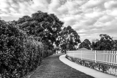 Footpath amidst trees against sky