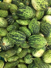 Full frame shot of blueberries