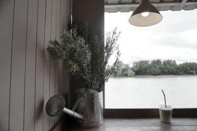 Close-up of potted plant on table by window