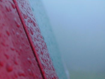 Close-up of sea shore against sky