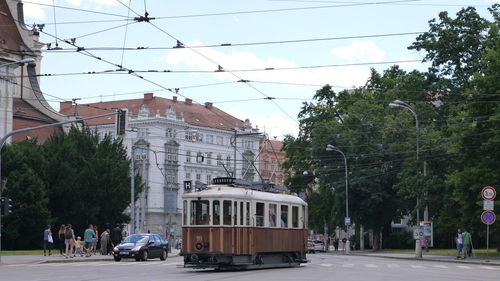 Cars on road by trees against sky in city