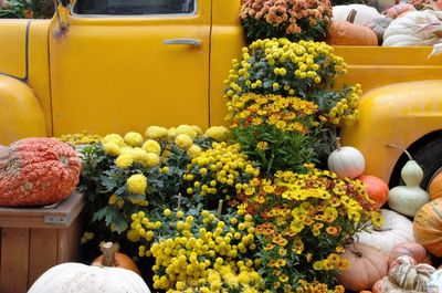 Close-up of yellow flowers