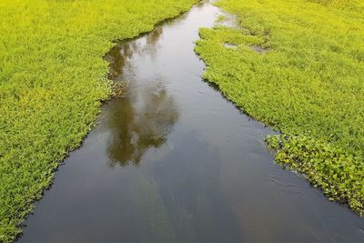 High angle view of river