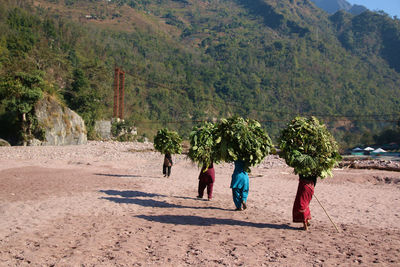 Rear view of women carrying plants on head while walking against mountain