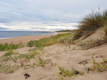 Scenic view of beach against sky