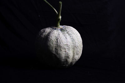 Close-up of pumpkin on table