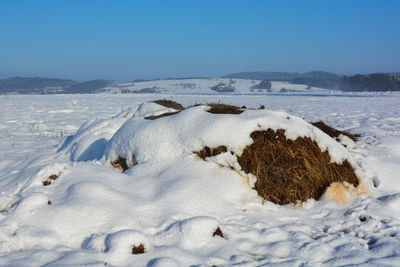 Scenic view of snow covered land against clear blue sky