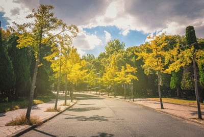 Road amidst trees against sky