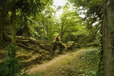Rear view of woman sitting on arch in forest
