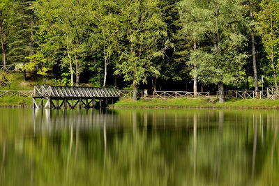 Scenic view of lake by trees