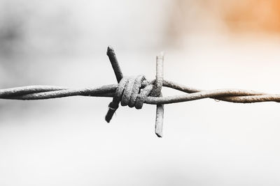 Close-up of barbed wire against clear sky