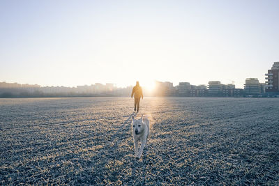 Man during walk with happy dog. pet owner and his labrador on field against city at winter sunrise.