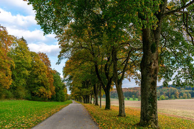 Road amidst trees against sky during autumn
