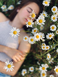 Close-up of daisy flowers