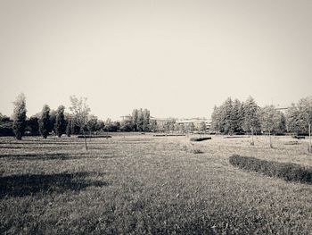 Scenic view of field against clear sky