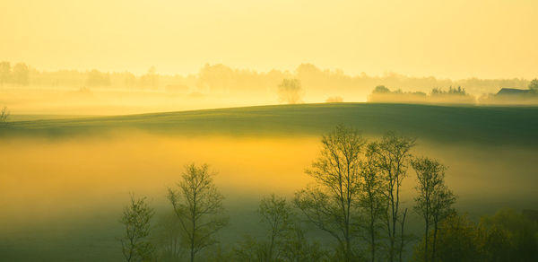 A minimalist landscape of a misty sunrise in summer with a far horizon. summertime scenery.