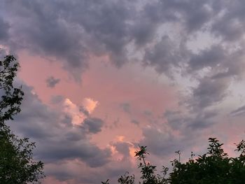 Low angle view of trees against dramatic sky