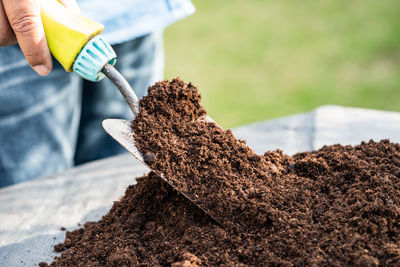 Cropped hand of person watering plant