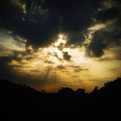 Low angle view of silhouette trees against sky at sunset