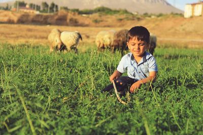 Boy with sheep on field