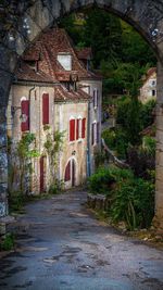 Narrow walkway along trees