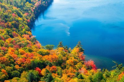 High angle view of trees during autumn