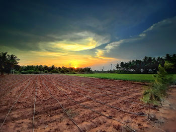 Scenic view of field against sky during sunset