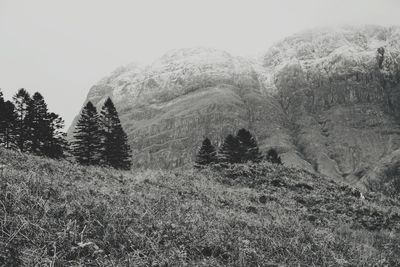 Scenic view of landscape against clear sky