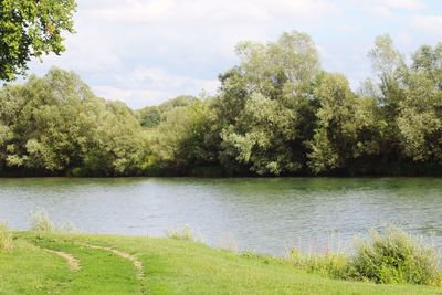 Scenic view of lake and trees against sky