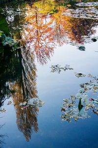 Reflection of trees in lake against sky